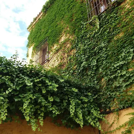 Appartement Flamencos Con Garage 5 Pax *